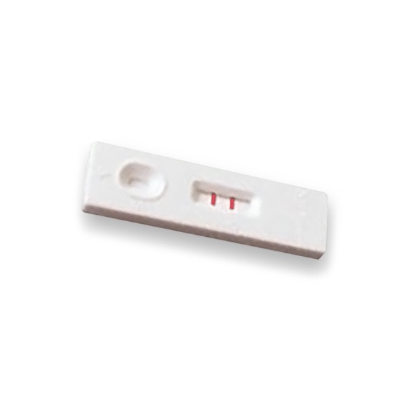 Test de grossesse Willi Fox HCG Test de grossesse Willi Fox HCG